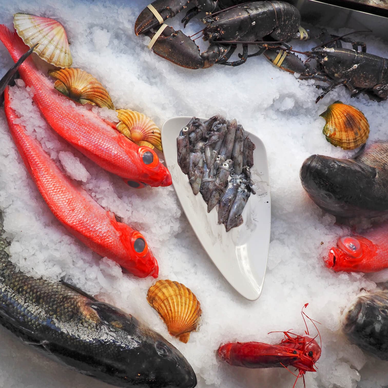 Pescados y mariscos frescos